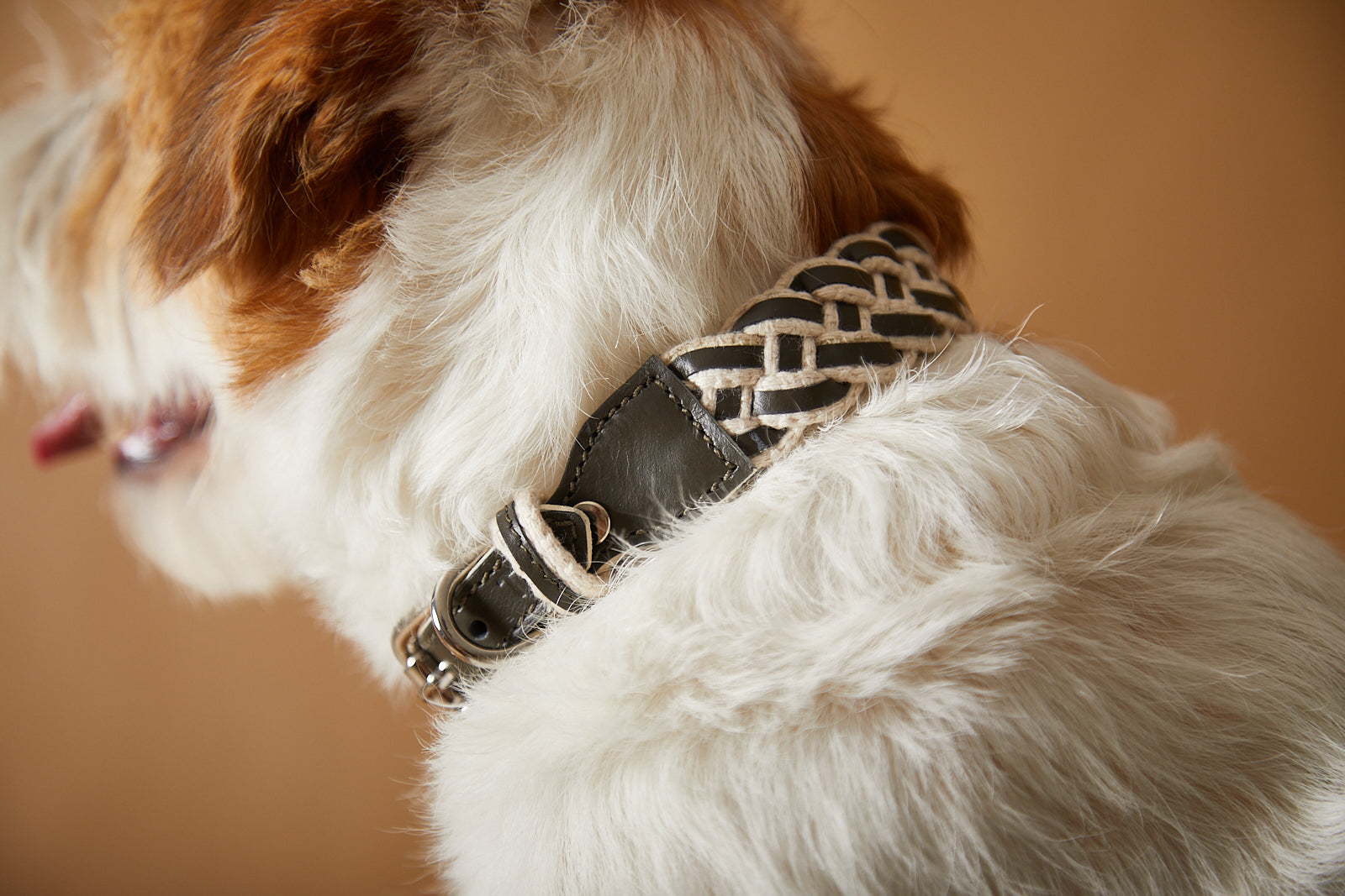 ÉTOILE Leather Collar&Leash Set