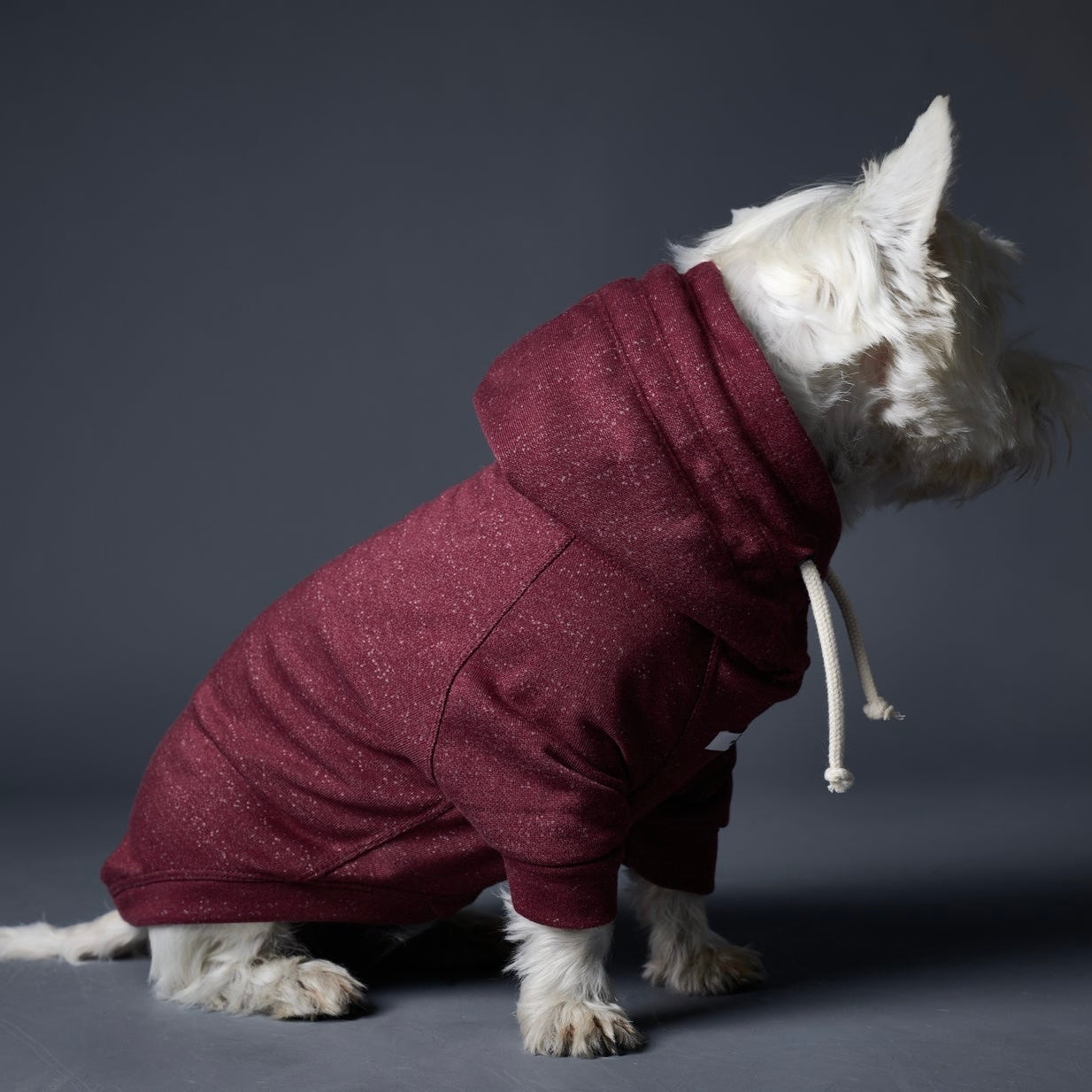 FONTANA ベーシックパーカー バーガンディ