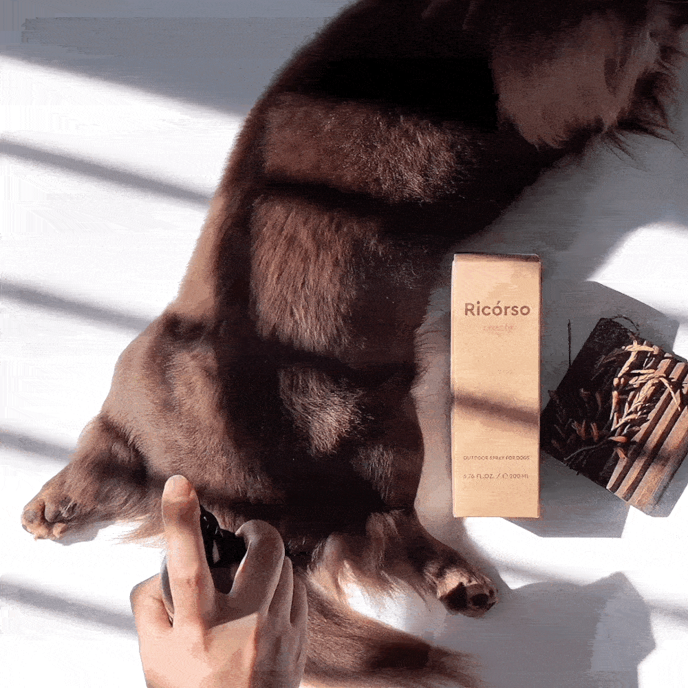 Proofy 害虫防止スプレー