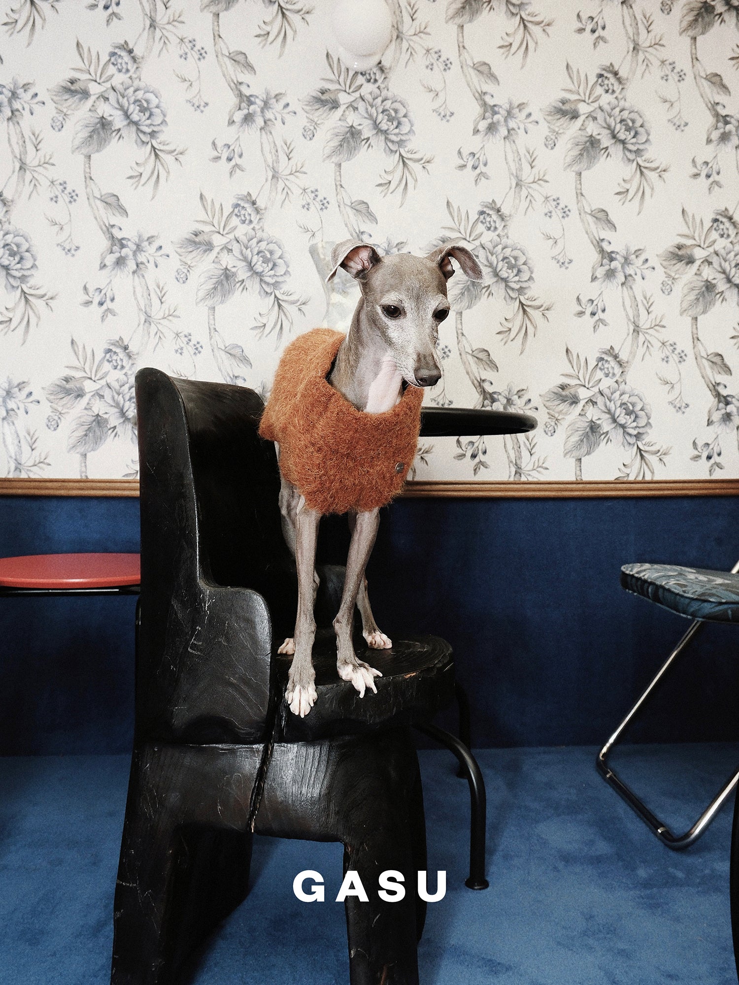 【全犬種対応】Roseau ファイン&ウォーム アルパカニットベスト メイプル