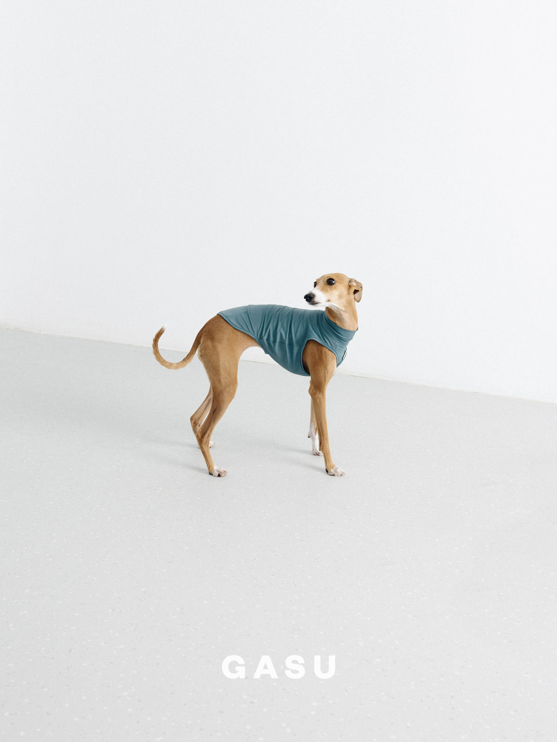 Flâner Nude UPF1000+ Cooling Vest ナイトグリーン