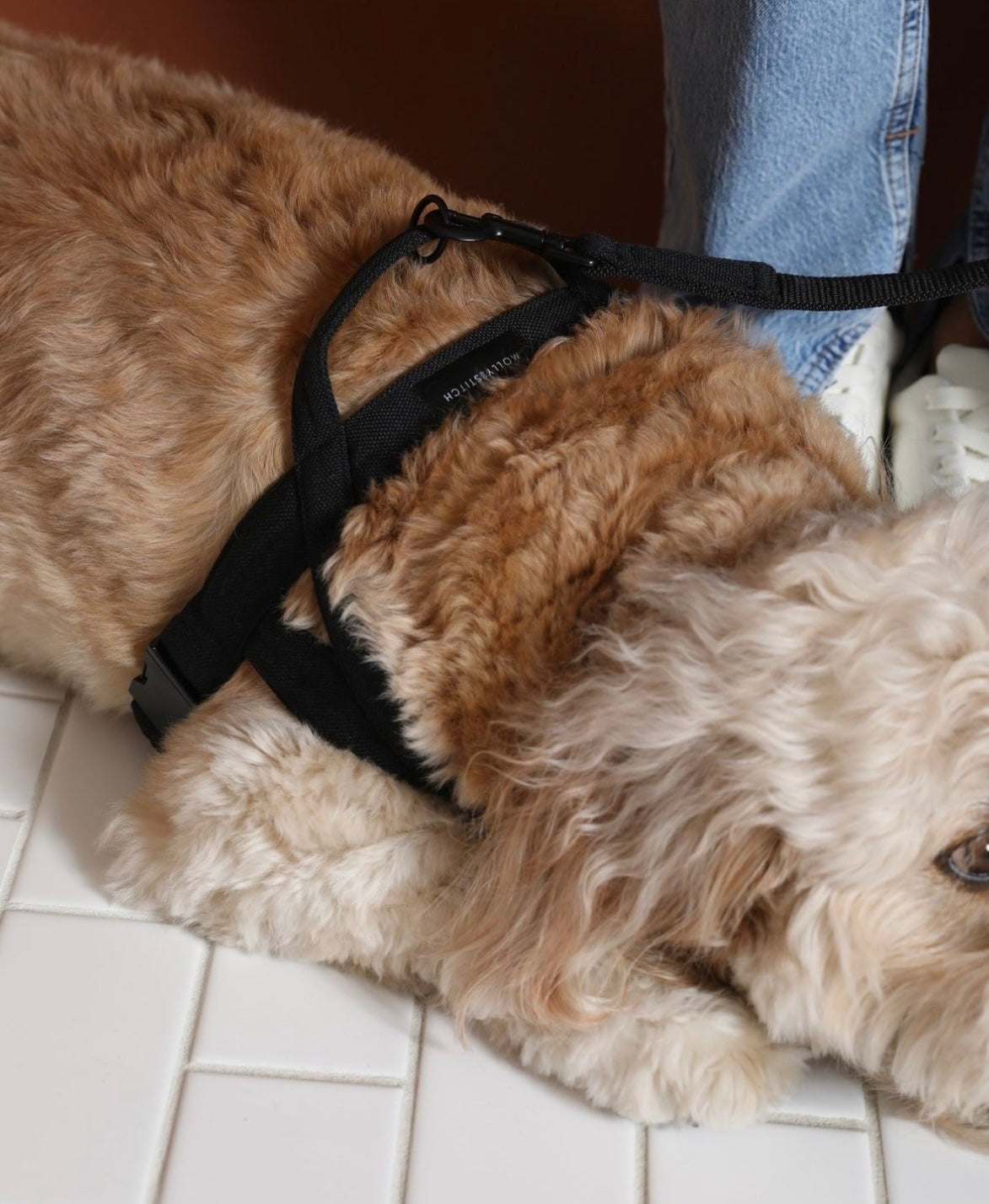 SOFT ROCK HARNESS ブラック