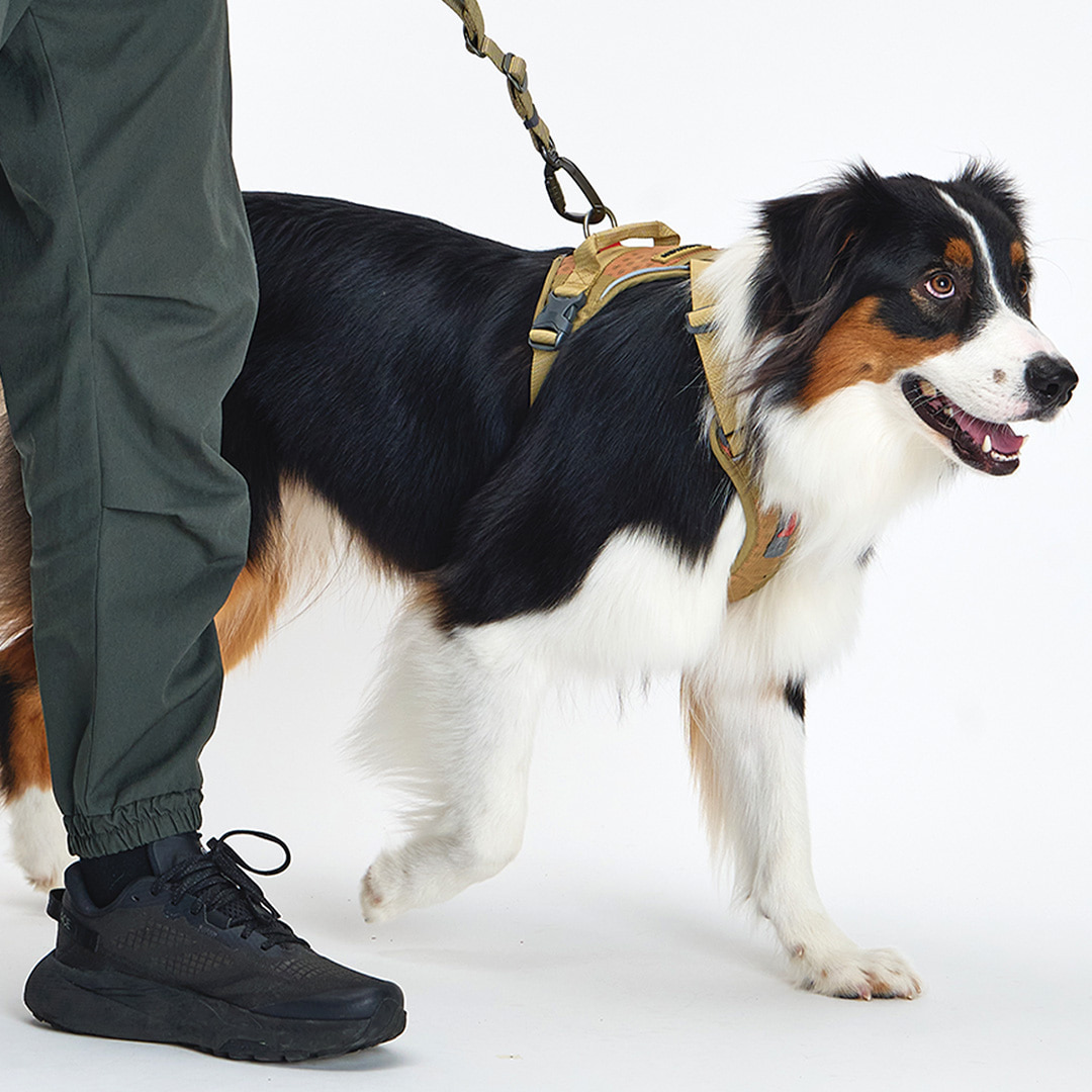 TREKTAIL Harness ベージュ