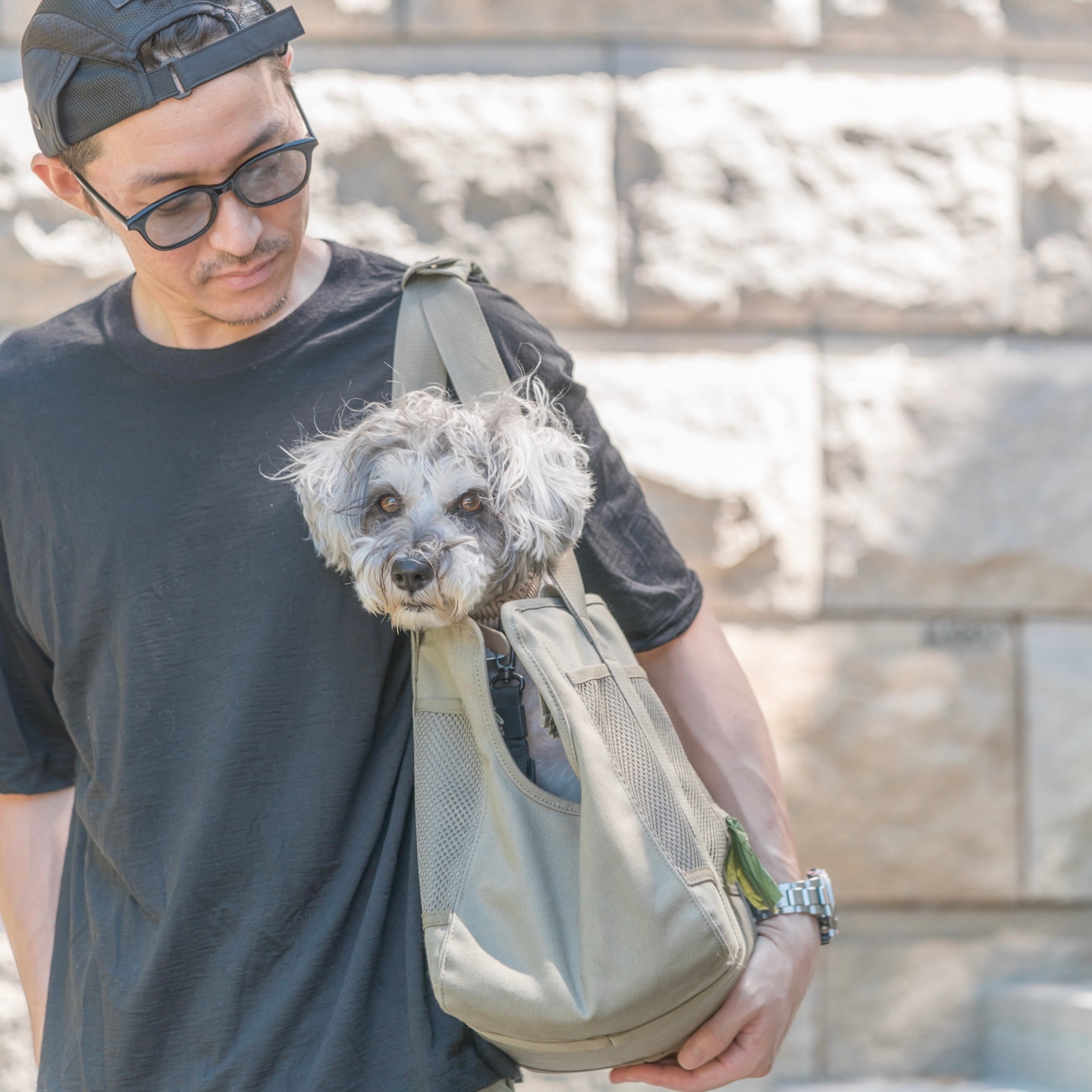 SUBWAY Petite Pet Carrycot FERN