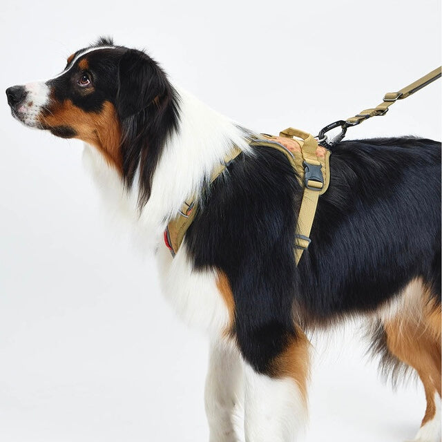 TREKTAIL Harness ベージュ