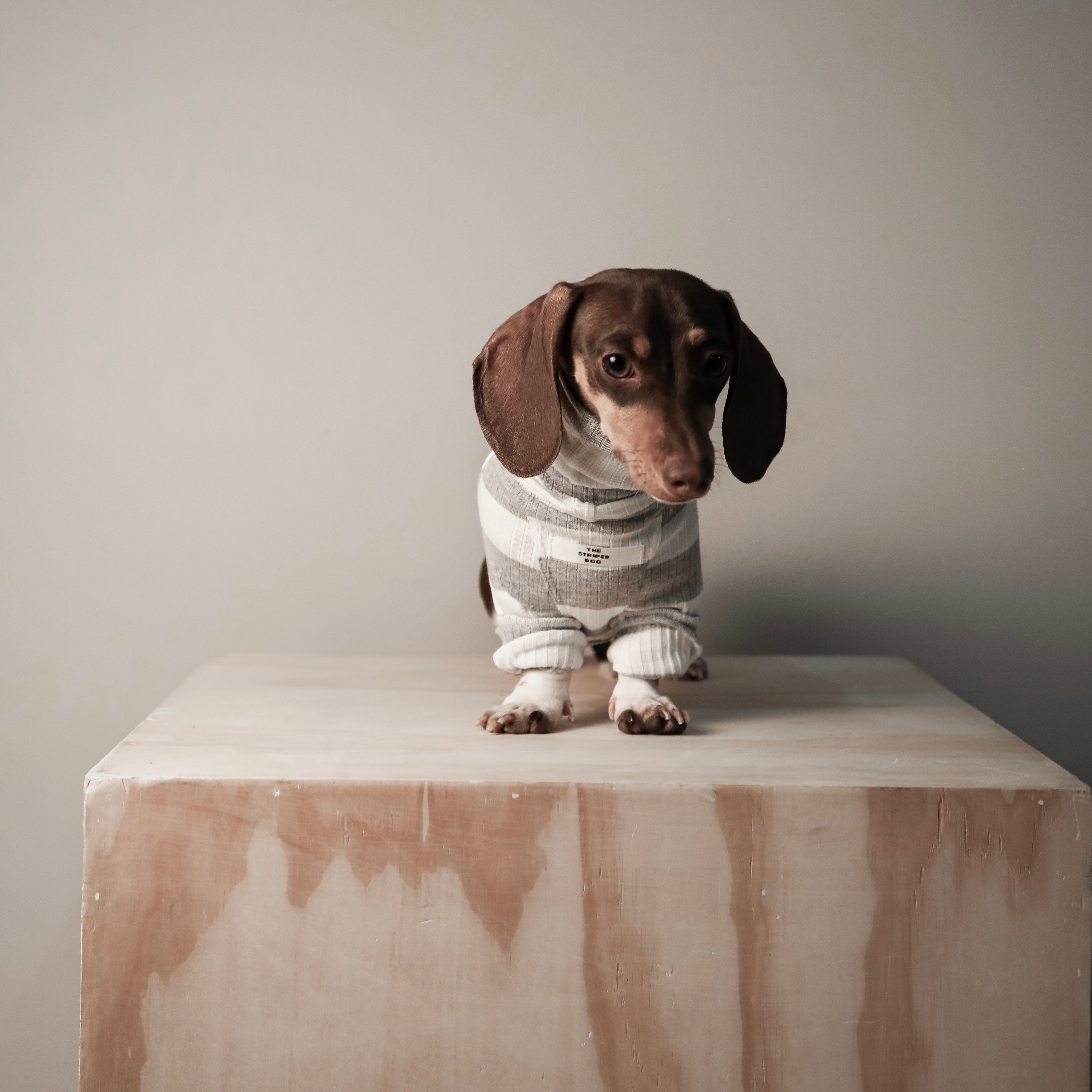 BREA タートルネックボーダーTシャツ