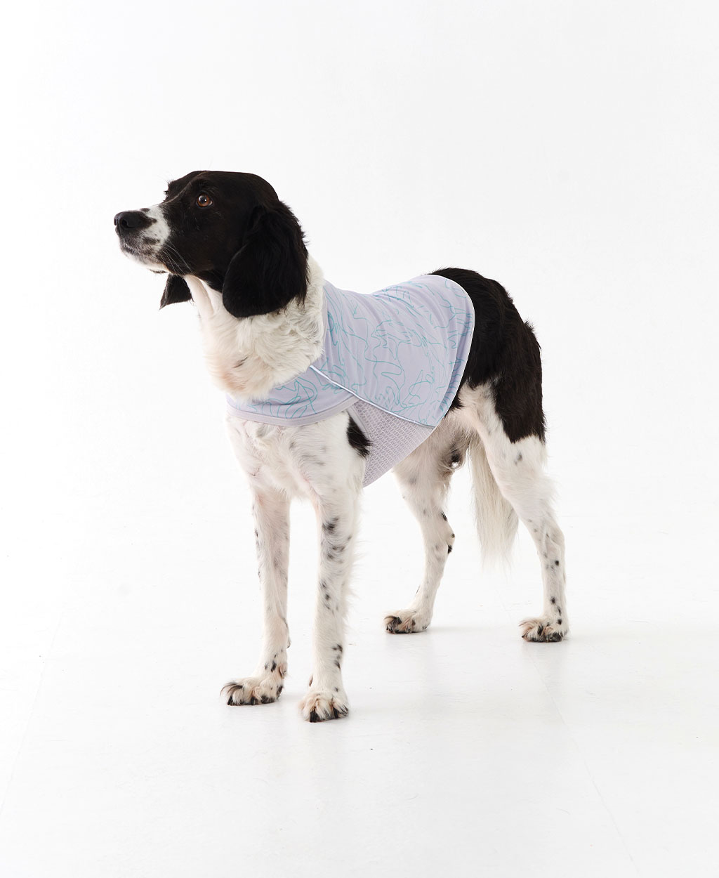 WEISS COOLING VEST GRAY