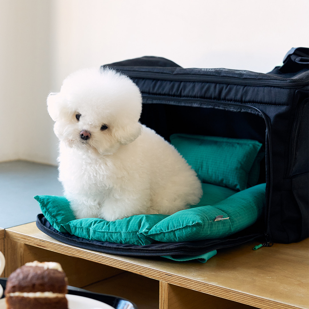 BY-WRAP BAG ブラック/グリーンクッション