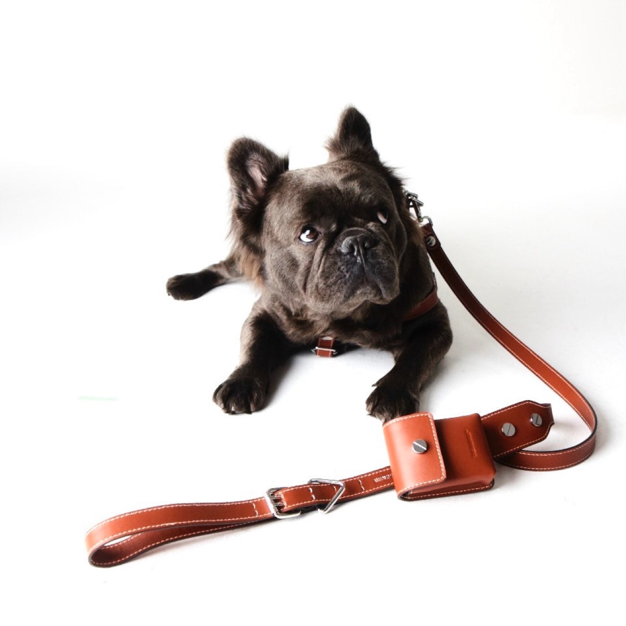 CLASSIQUE LEAD シナモン