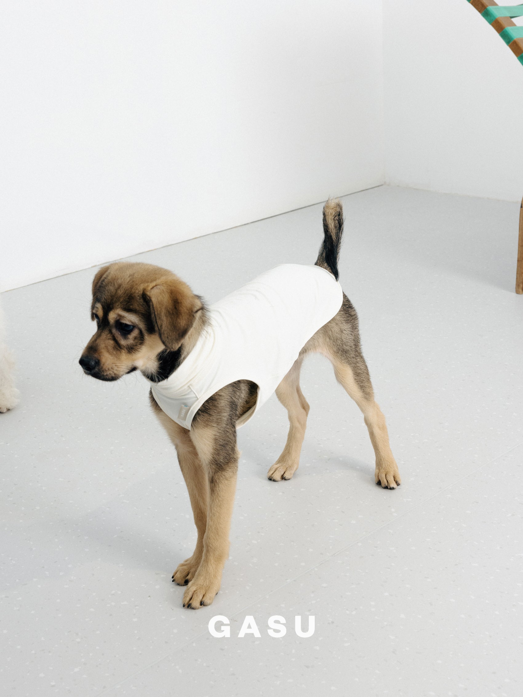 Flâner Nude UPF1000+ Cooling Vest オフホワイト