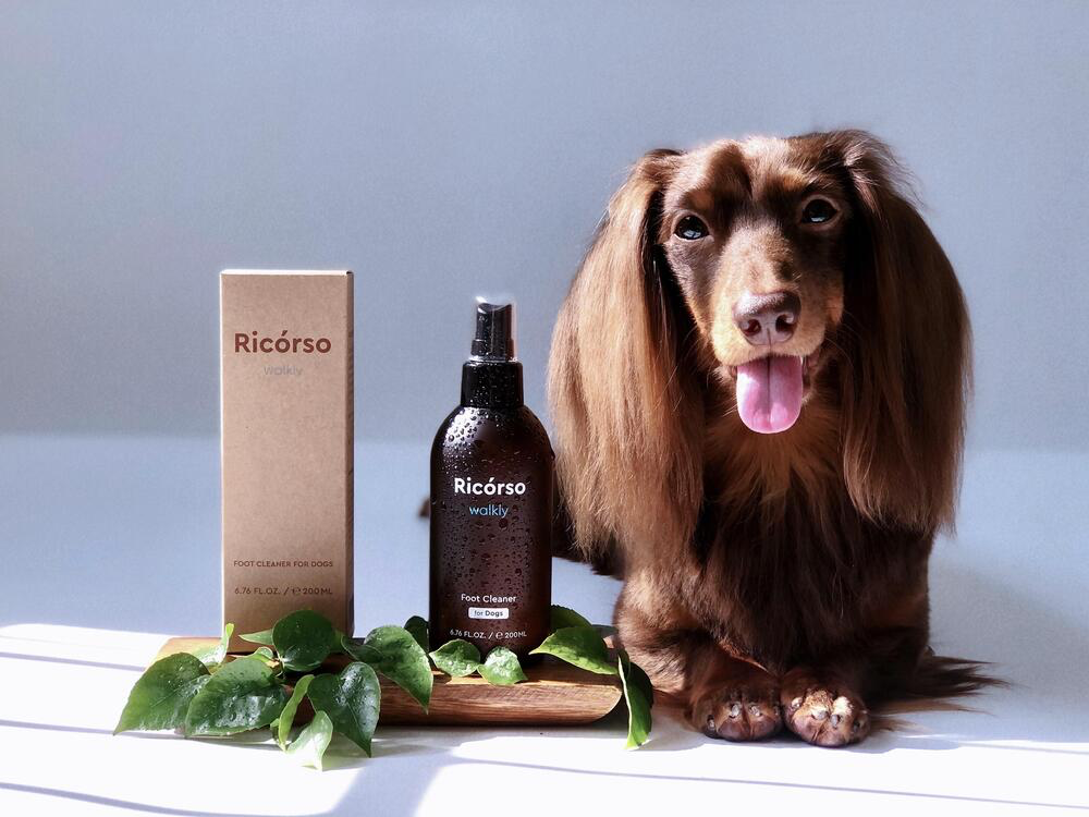 Walkly ウォーターレスフットクリーナー