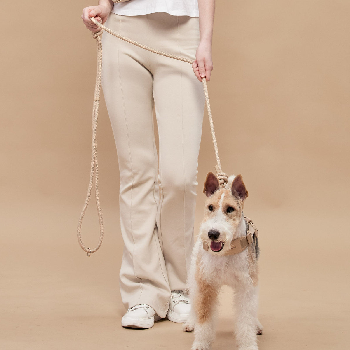 Rover Rope Leash ベージュ
