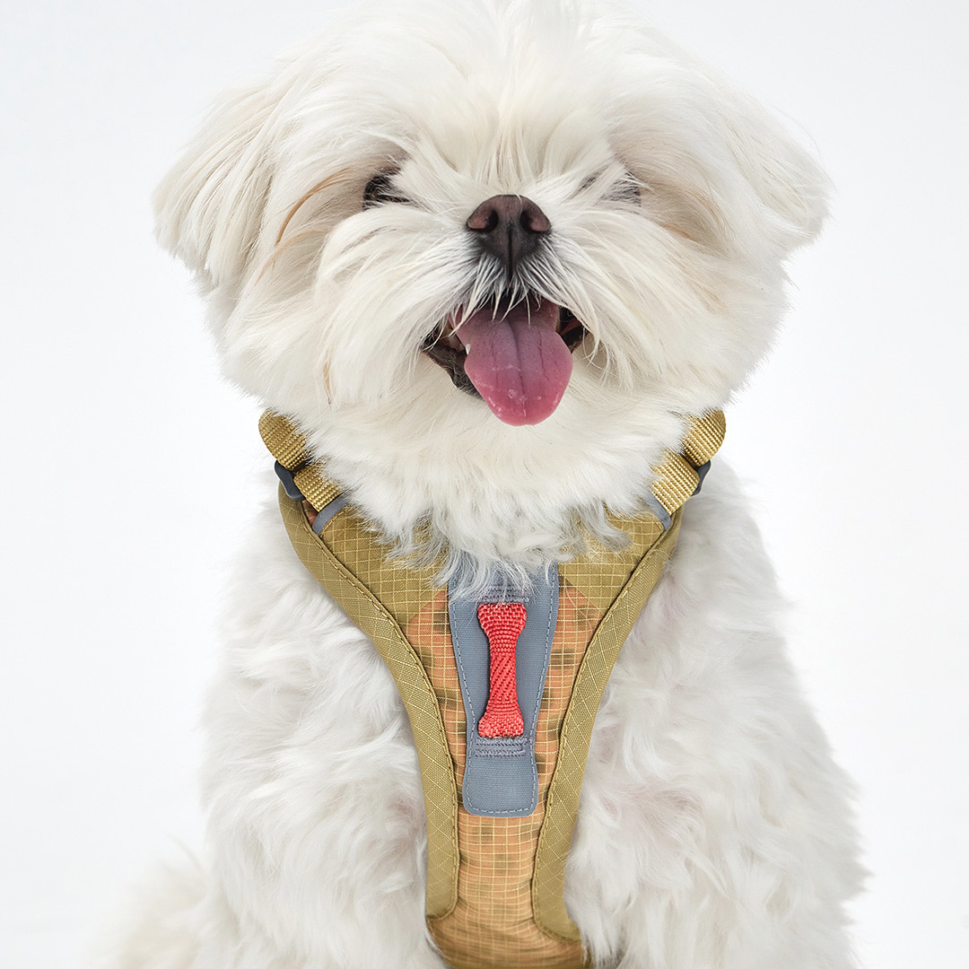 TREKTAIL Harness ベージュ