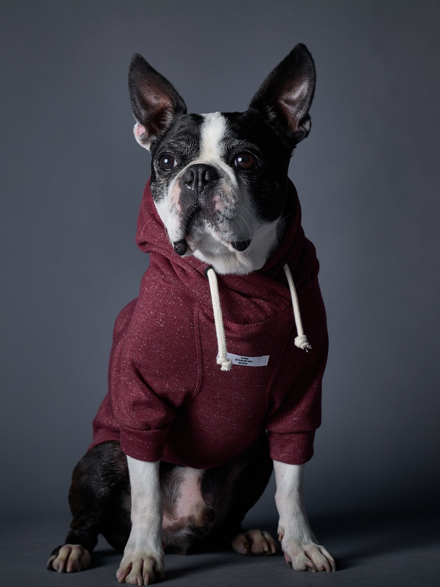 FONTANA ベーシックパーカー バーガンディ