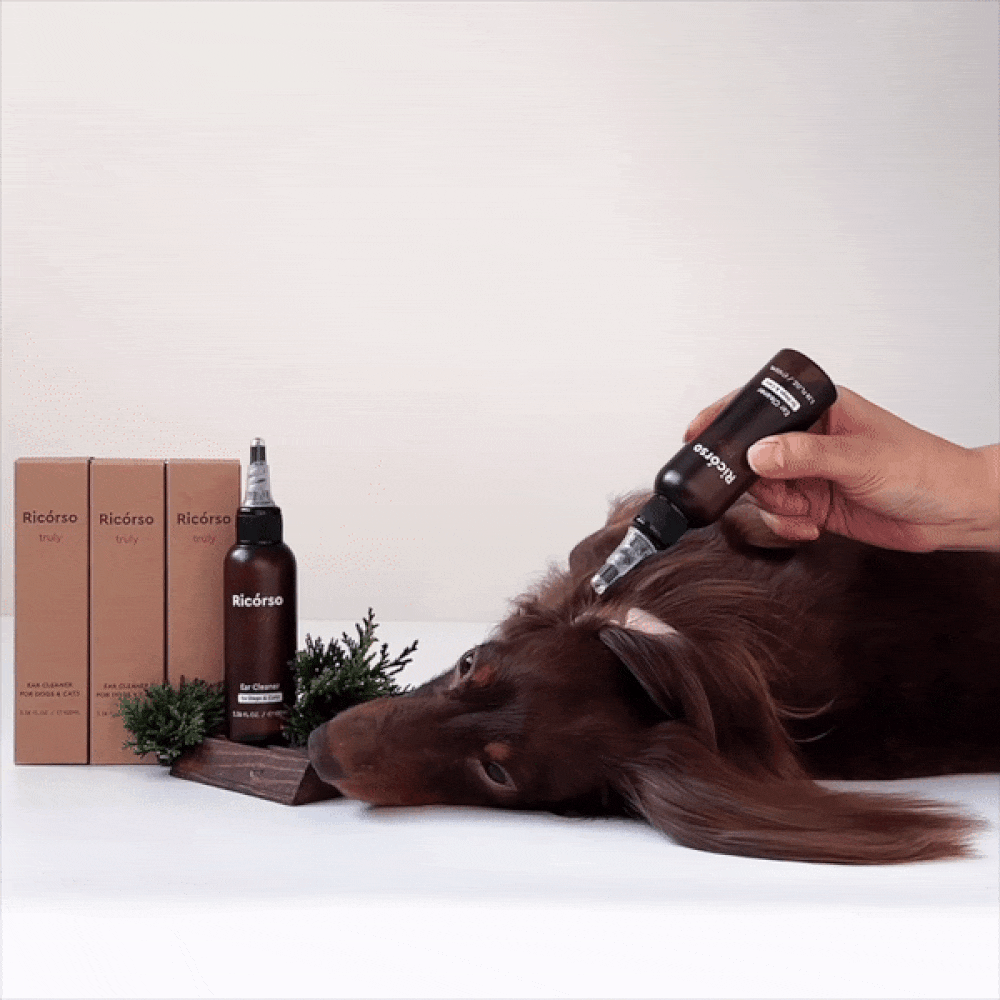 truly イヤークリーナー