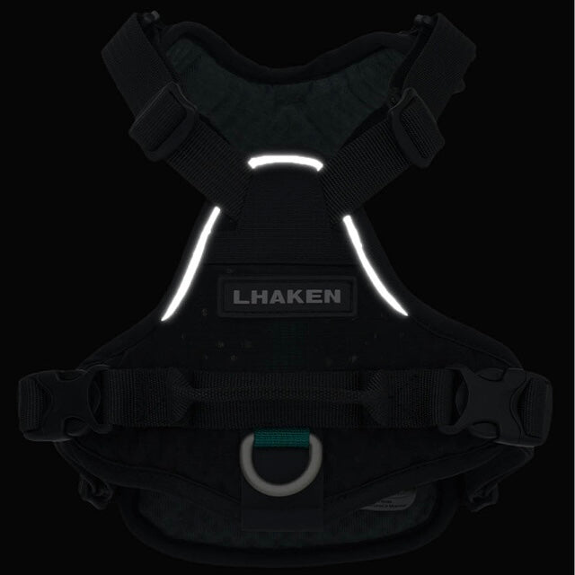 TREKTAIL Harness ブラック
