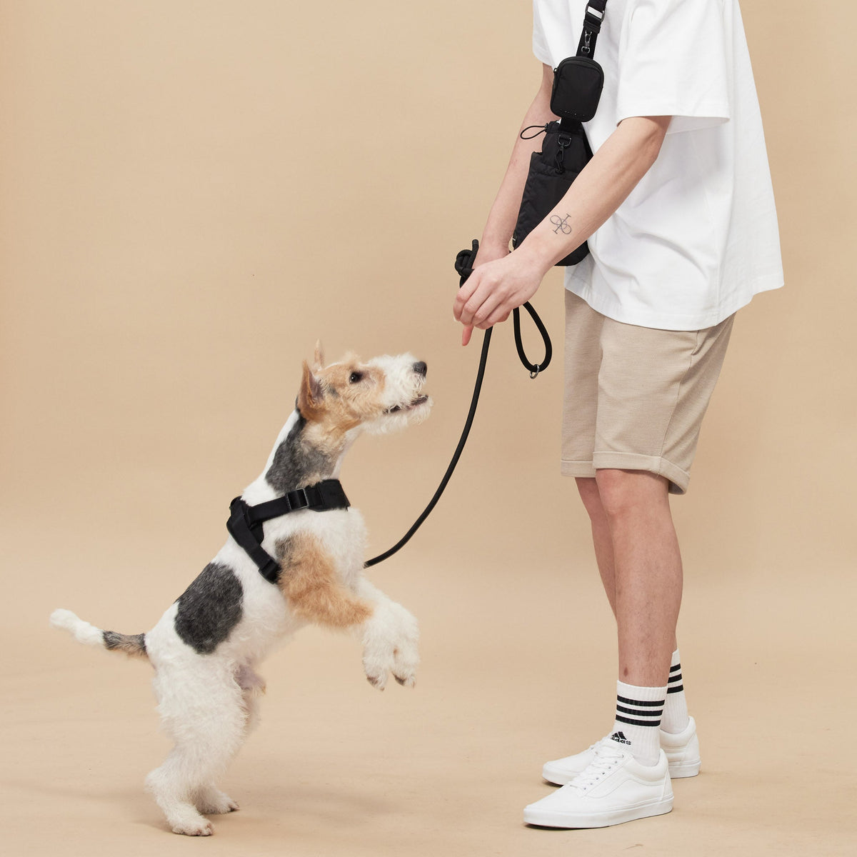 Rover Harness ブラック