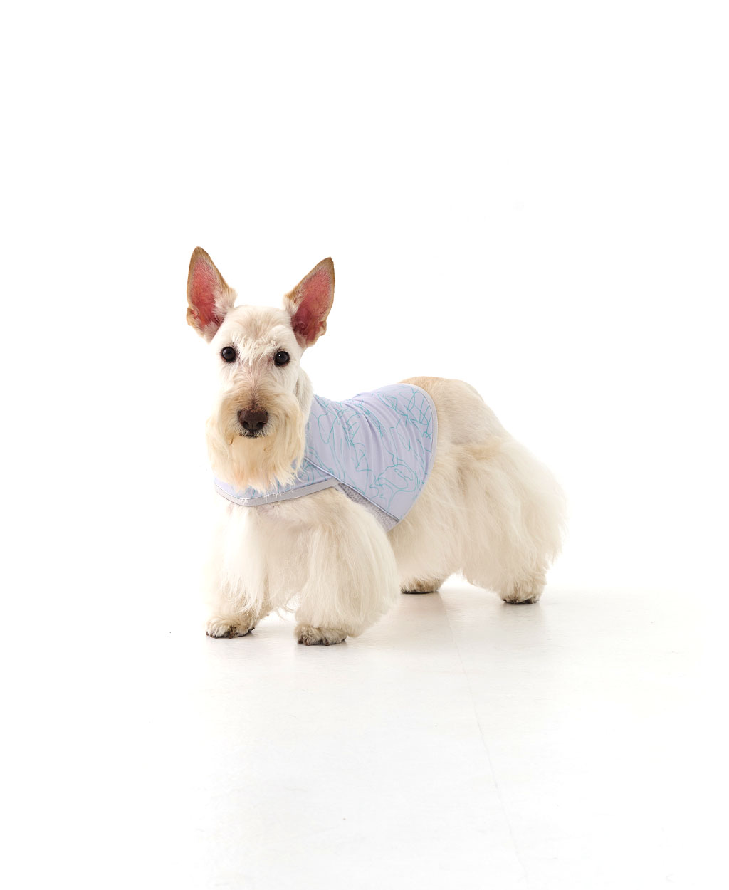WEISS COOLING VEST GRAY