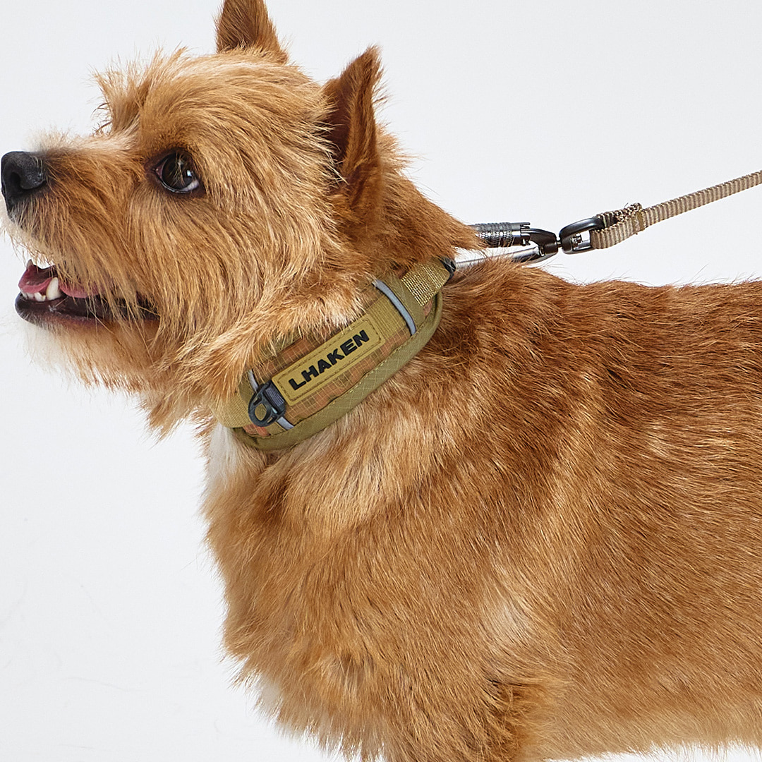 TREKTAIL Collar ベージュ