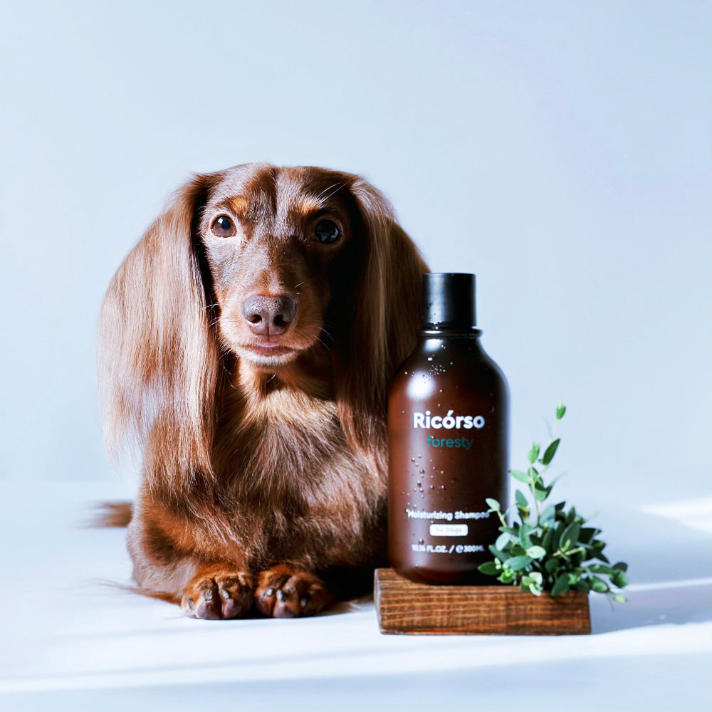 foresty モイスチャライジングシャンプー