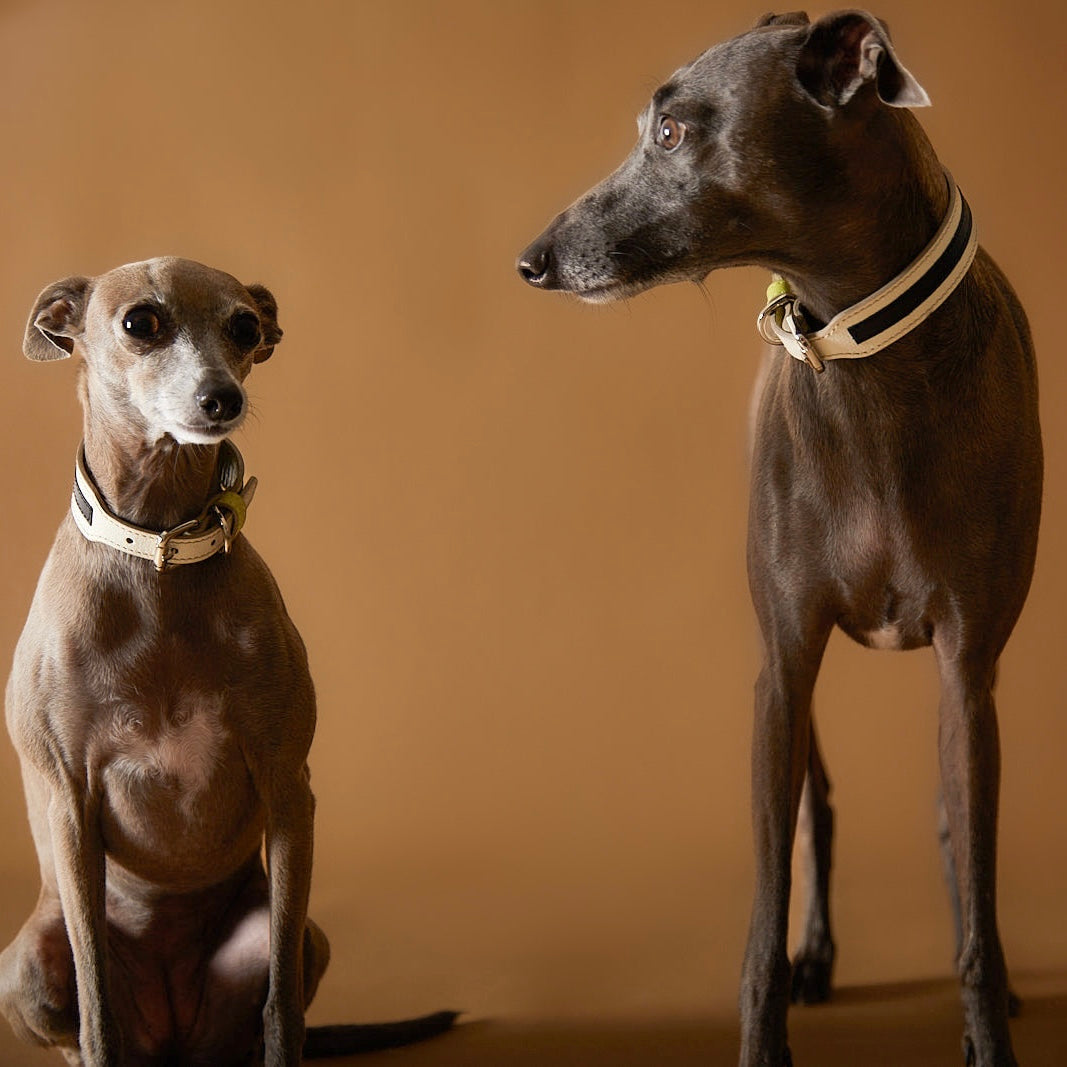 LUNE Leather Collar and Leash Set