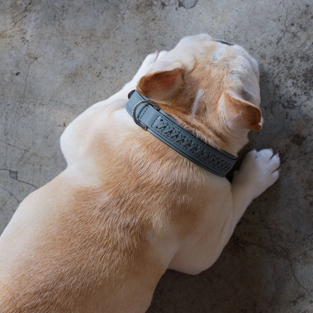 Mistico Dog Collar XLサイズ