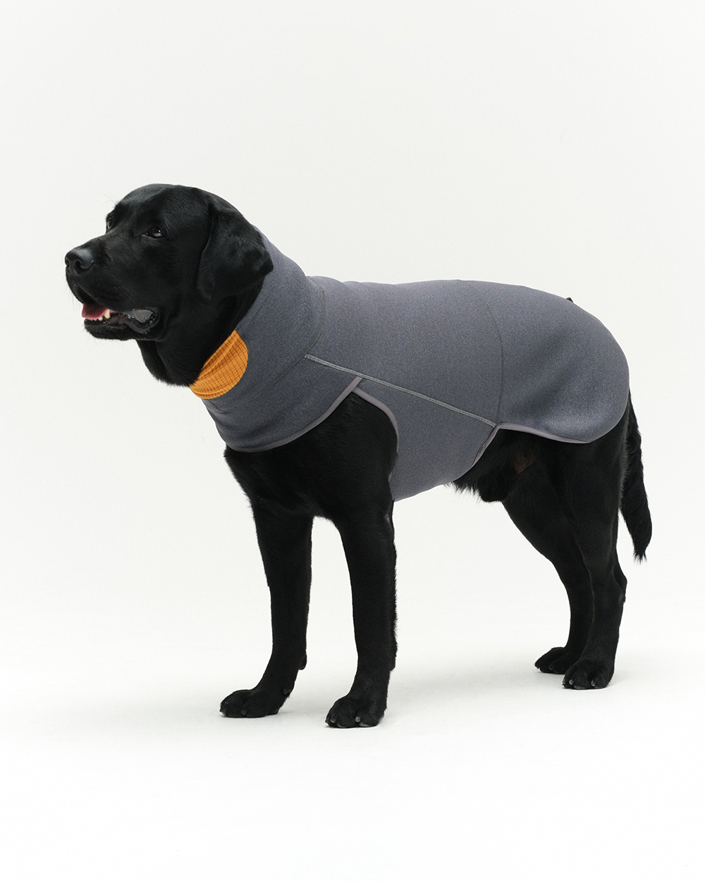 INTER FLEECE JACKET グレー