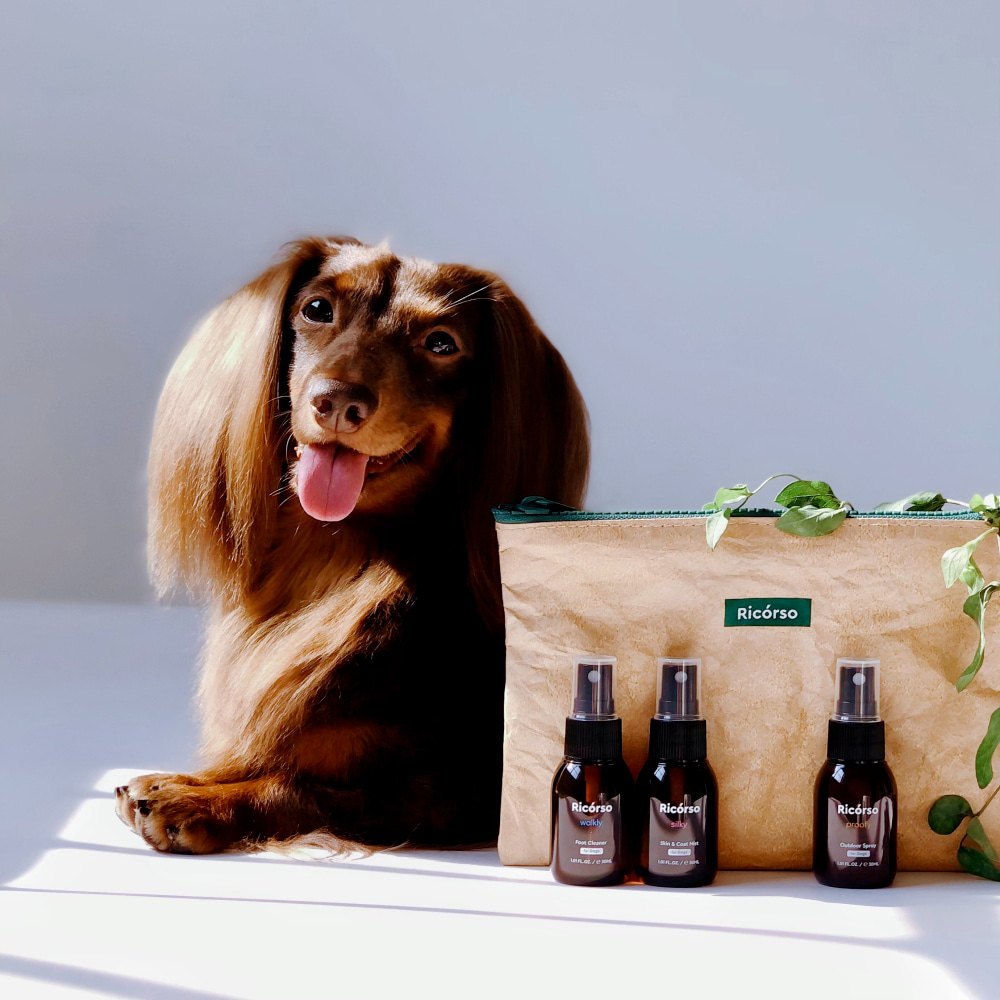 トラベルキット Walklyウォーターレスフットクリーナー/Silkyスキン&コートミスト/Proofy害虫防止スプレー