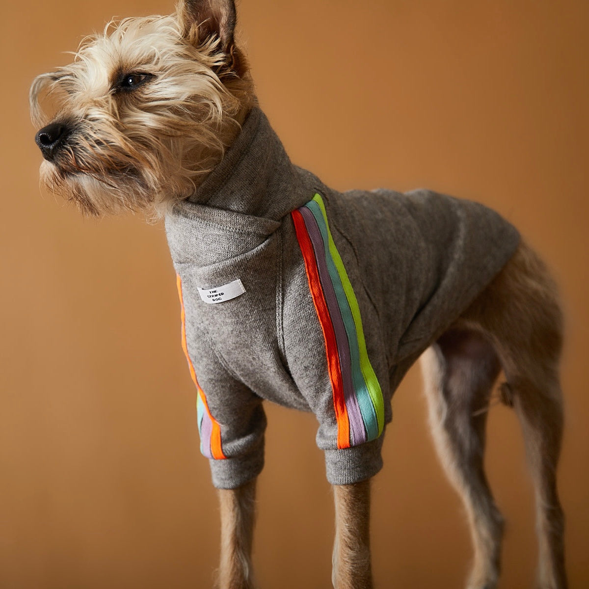 ELLE マルチカラーストライプニット