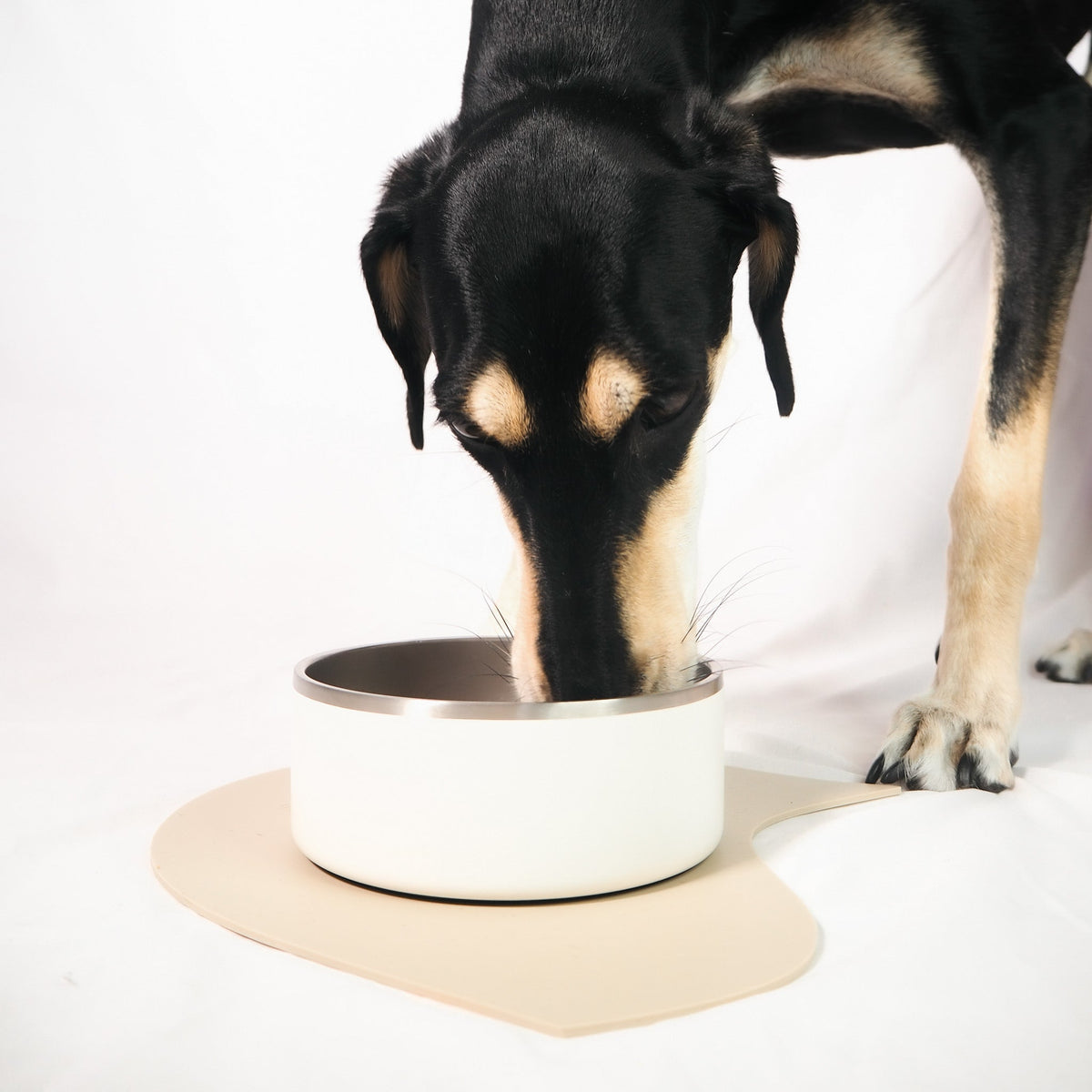 ステンレススチールボウルセット ココナッツ