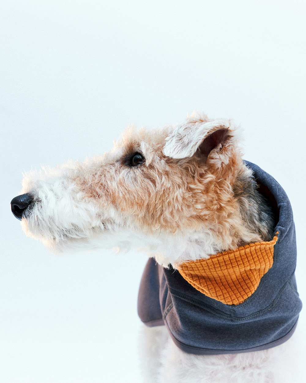 INTER FLEECE JACKET グレー