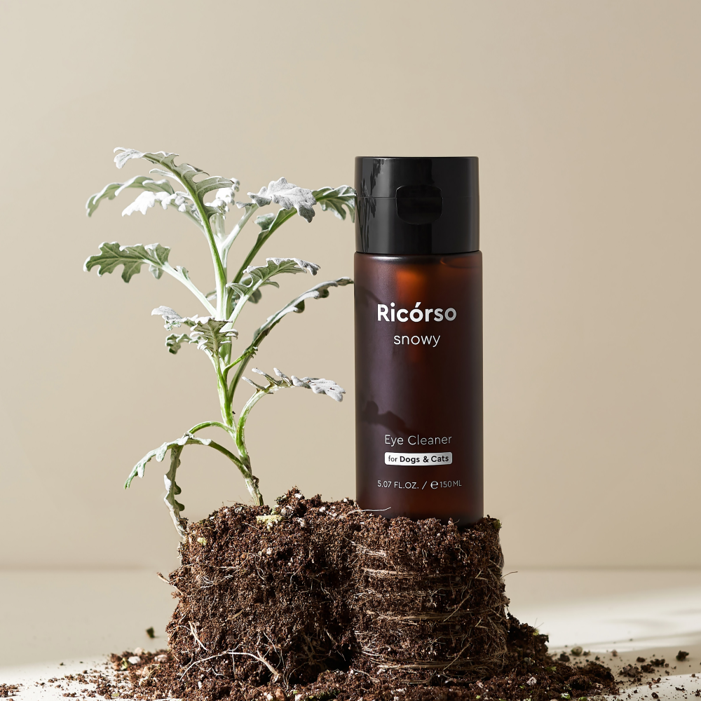 snowy アイクリーナー