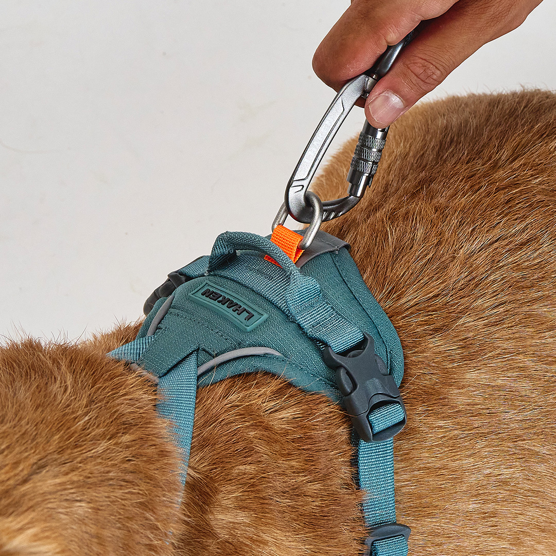 TREKTAIL Leash Hyper ピンク
