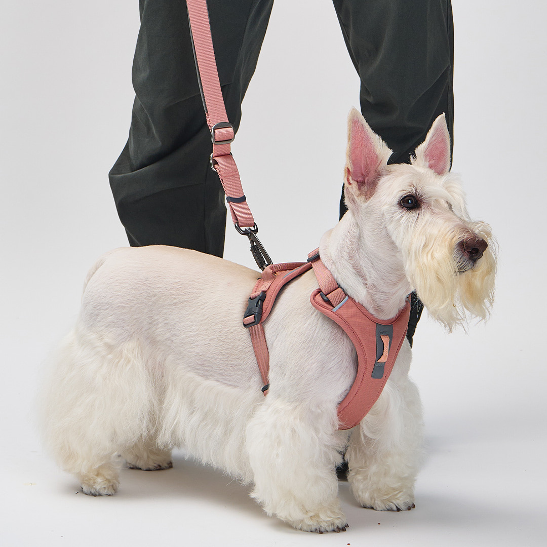 TREKTAIL Leash Hyper ピンク
