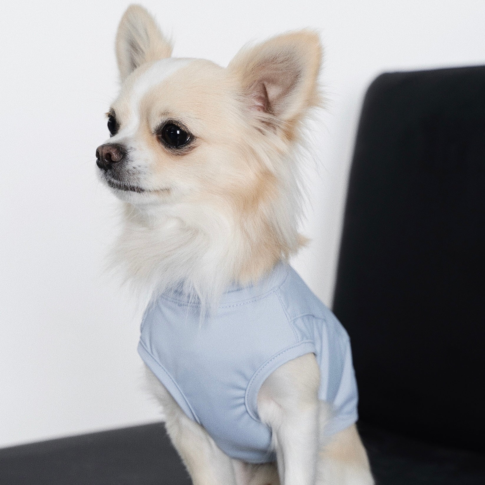 【全犬種対応】Nude UPF50+ Cooling Vest アイスブルー