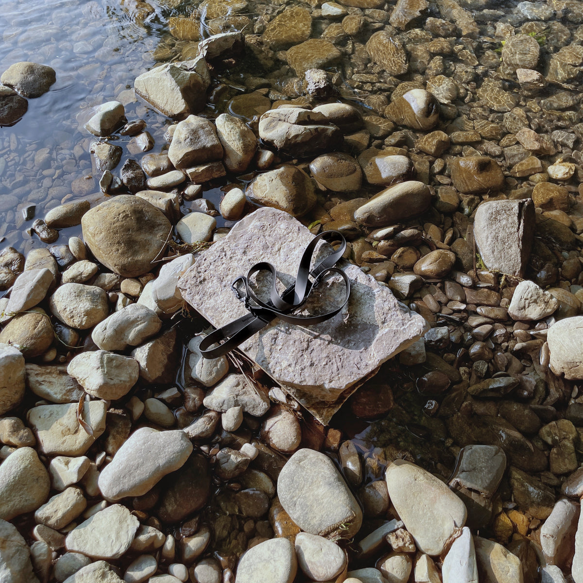 MELLEM X LEASH BLACK (オートロック式カラビナタイプ)