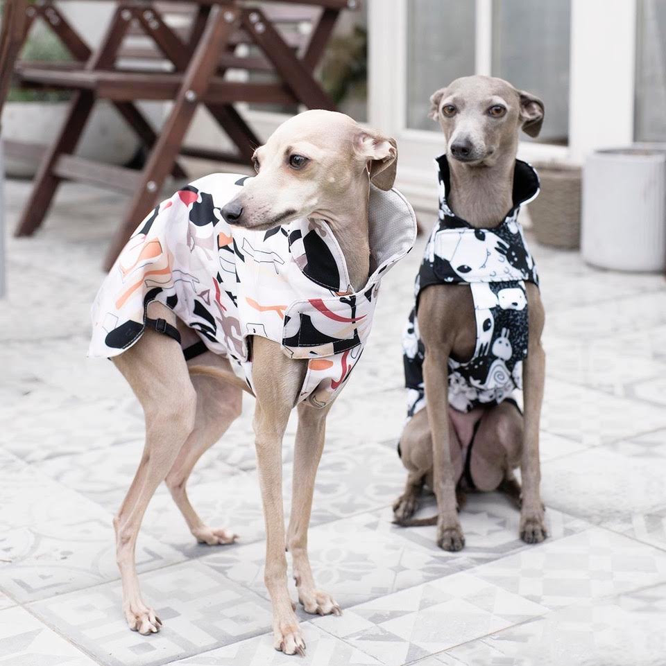 City Breeze dog raincoat™️ ドッグレインコート サバンナ