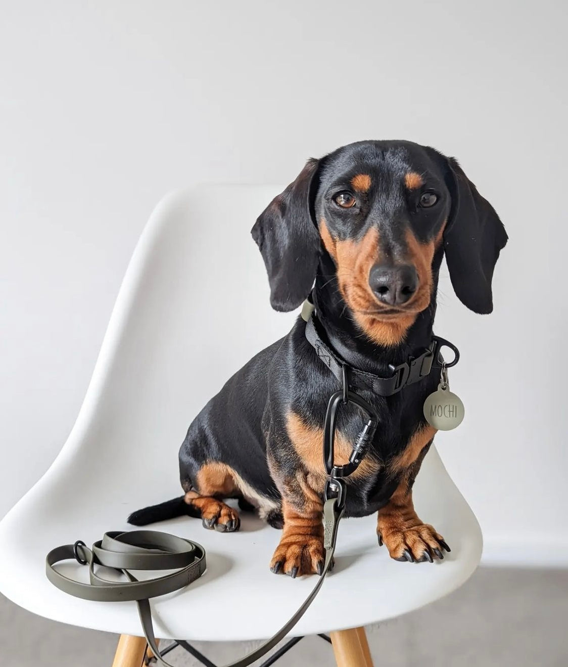 APEX Ultralight+Skinny Leash MOON