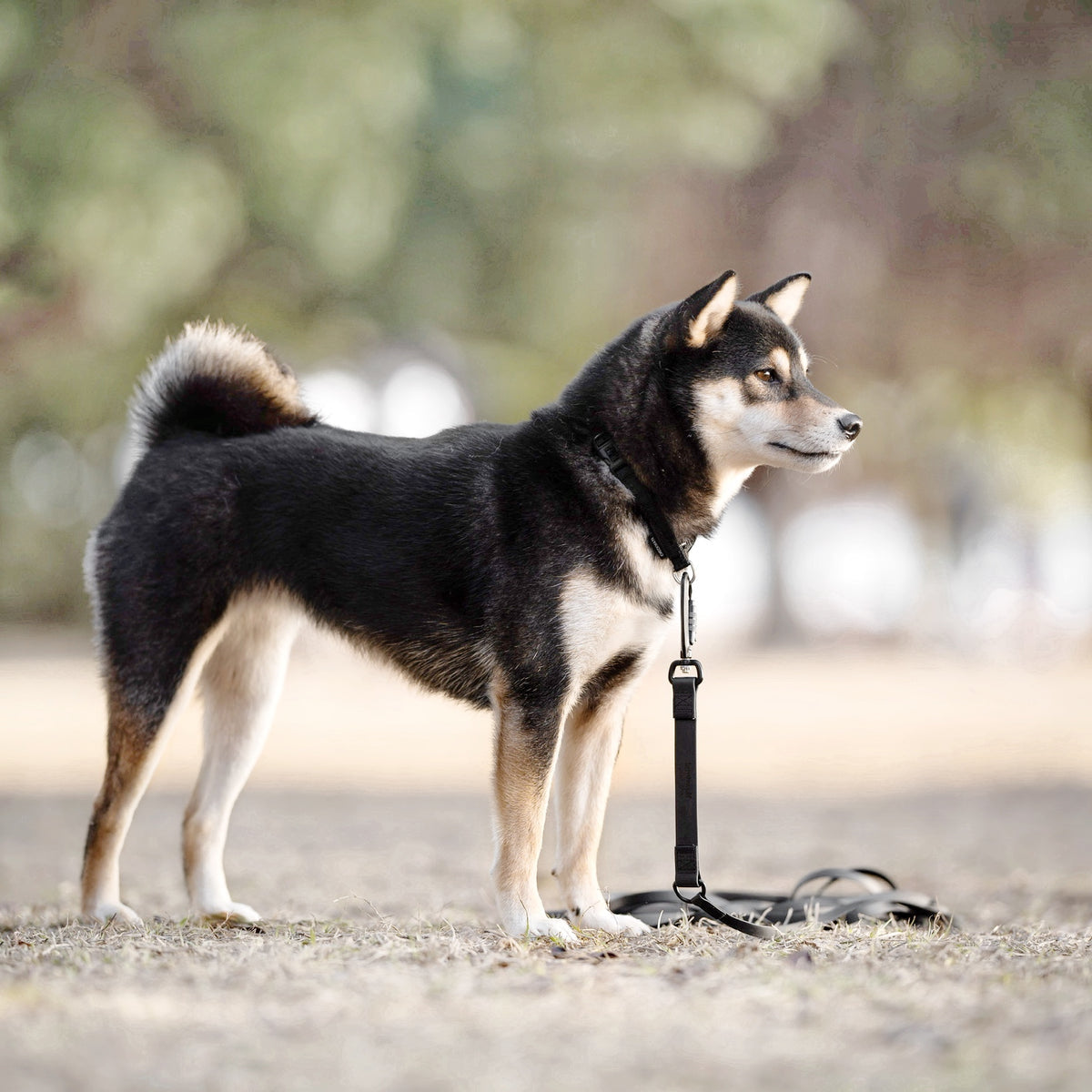 NOMAD X 超軽量ロングリーシュ BLACK(オートロック式カラビナタイプ)