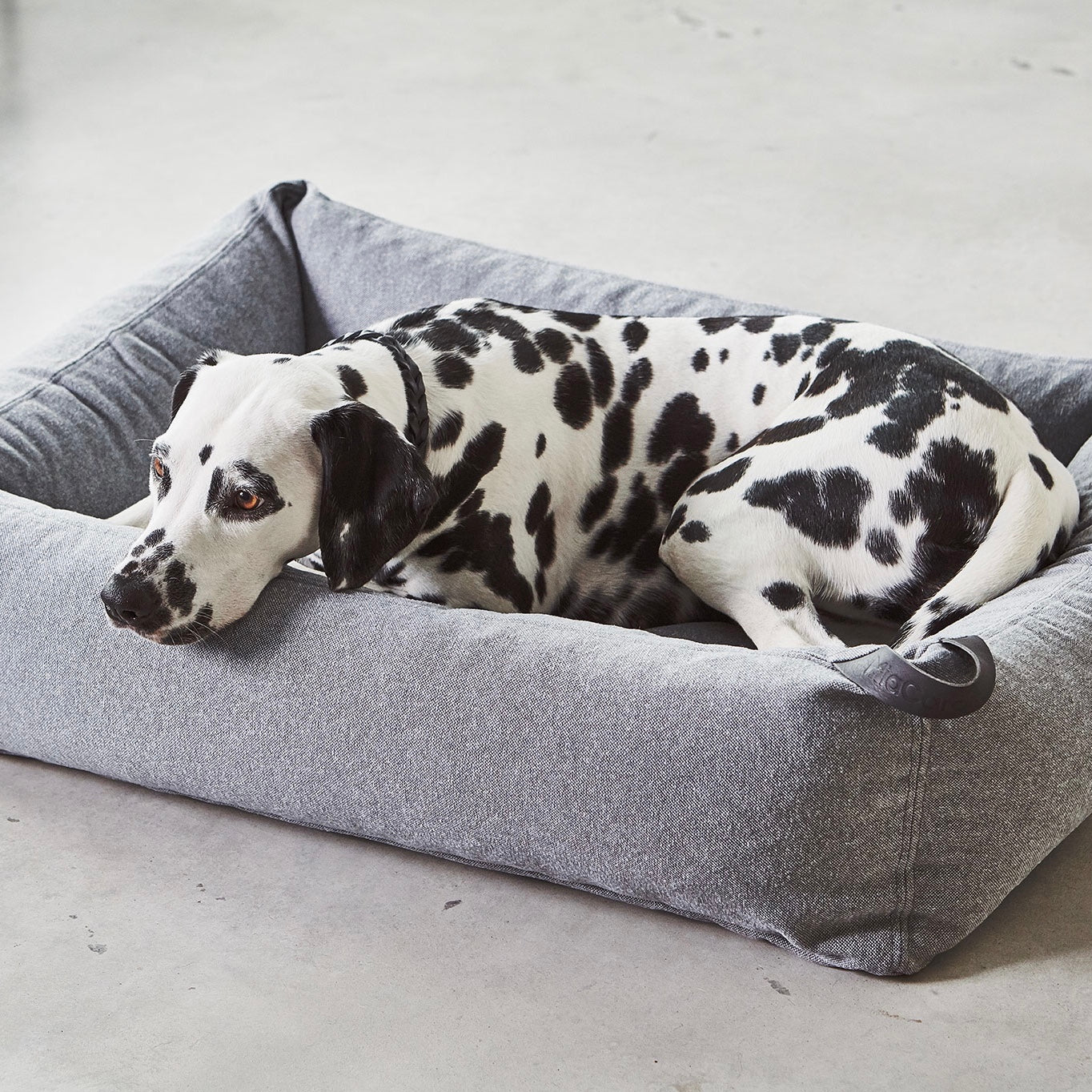 MiaCara ステラボックスドッグベッド スレート SMサイズ