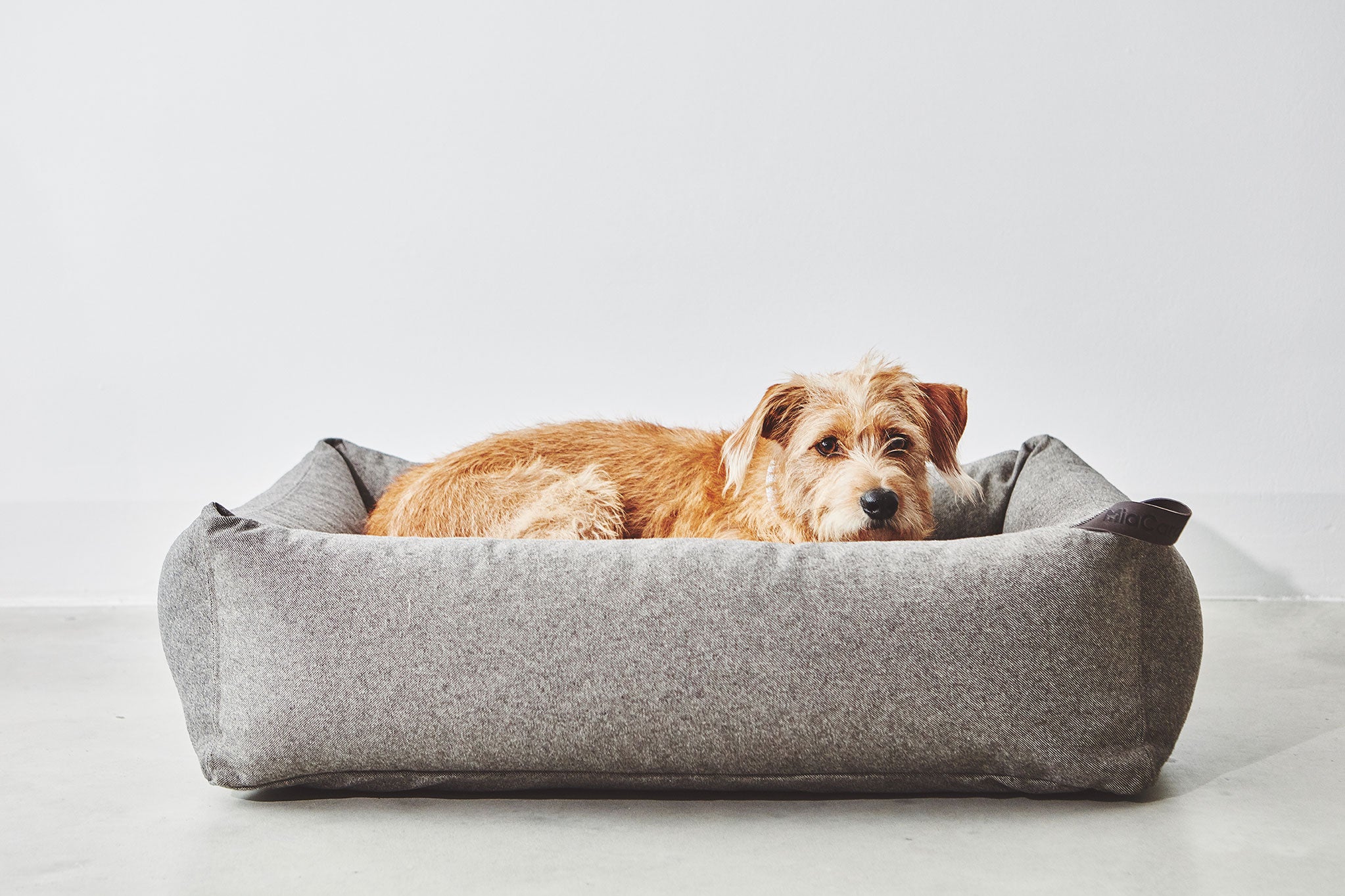 MiaCara ステラボックスドッグベッド モカ Mサイズ