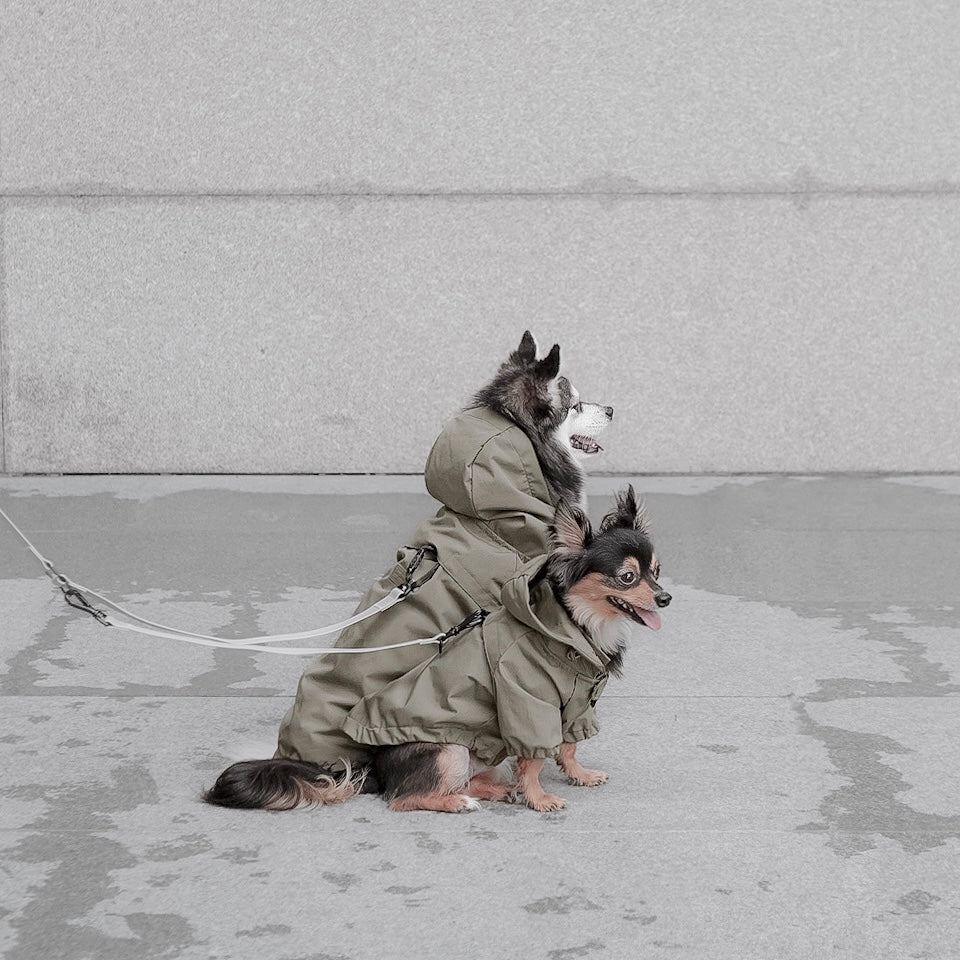 BROOKLYN Raincoat FERN