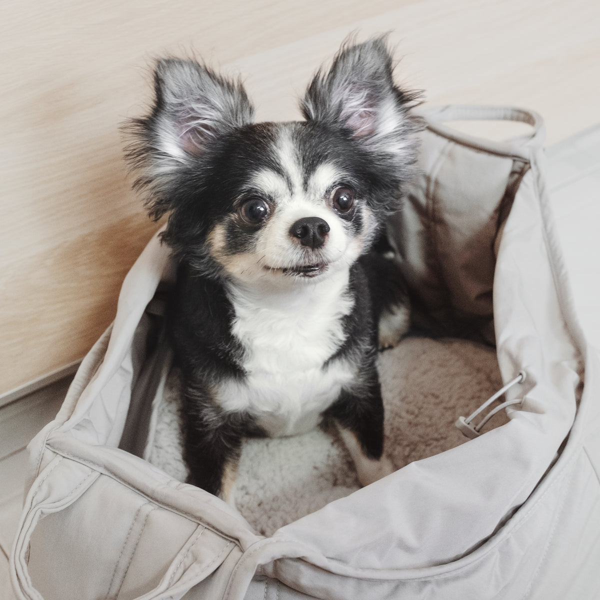 OLLA PETITE PET CARRYCOT KOARA