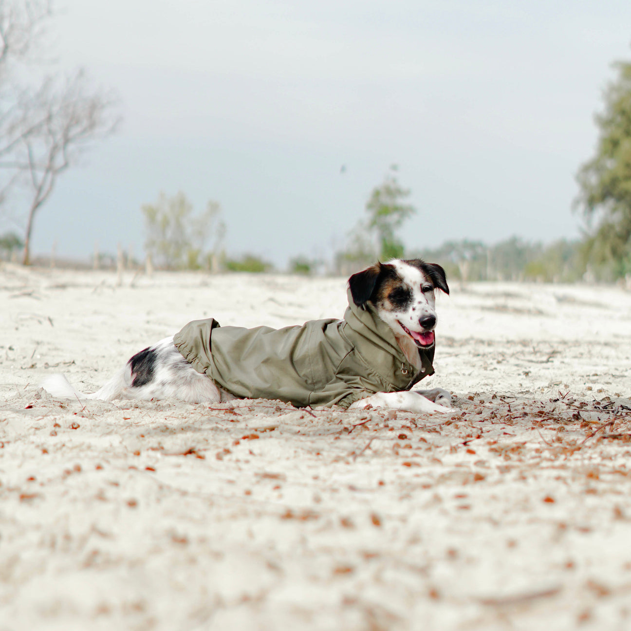 BROOKLYN Raincoat FERN