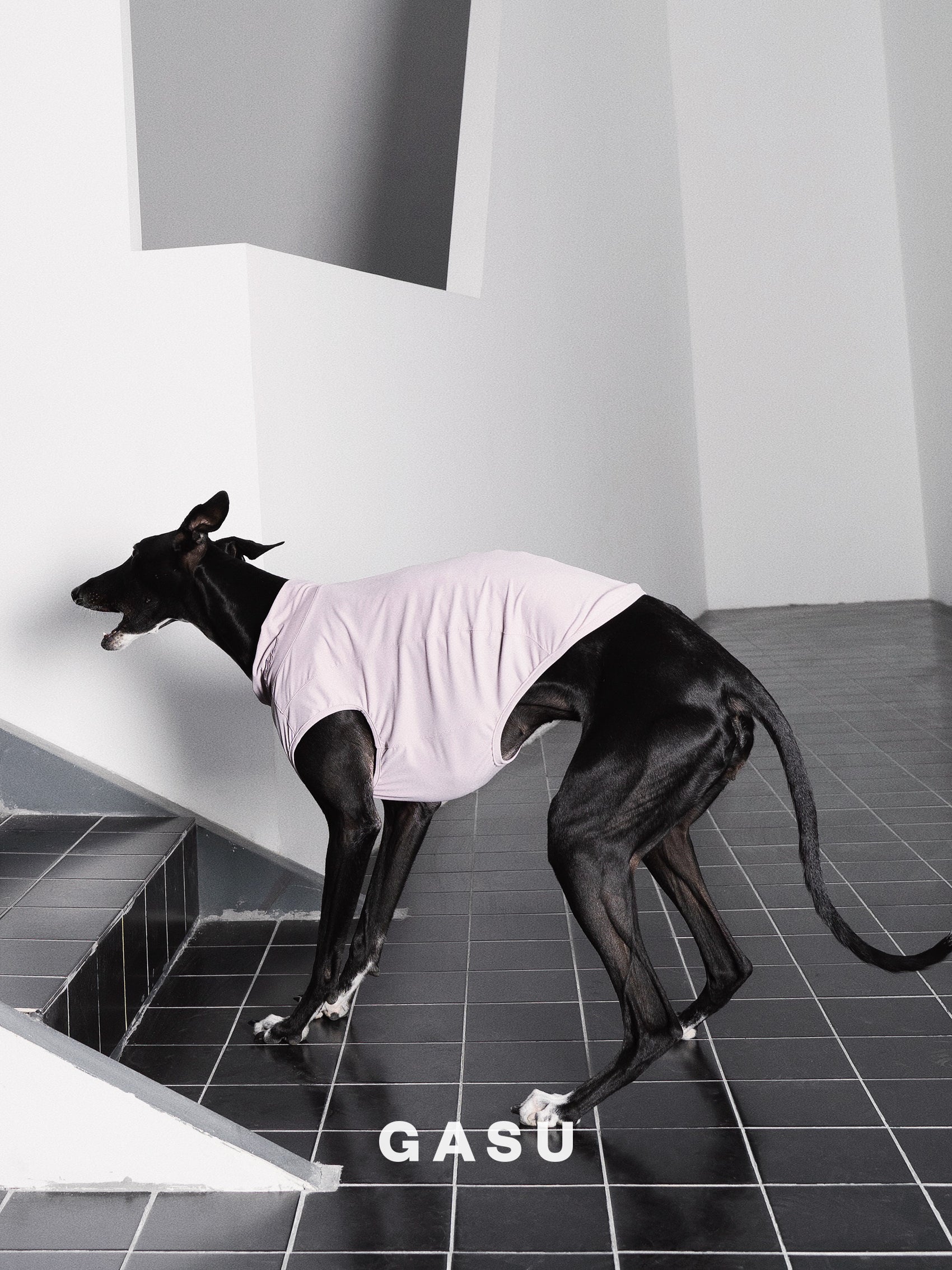 【全犬種対応】Nude UPF50+ Cooling Vest モーブ