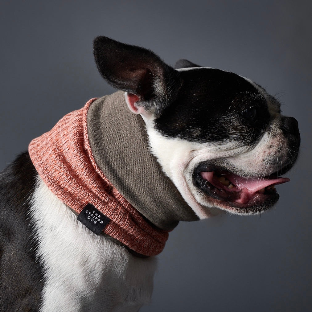 LANCASTER リバーシブル リングスカーフ オレンジ×ダークグリーン Lサイズ