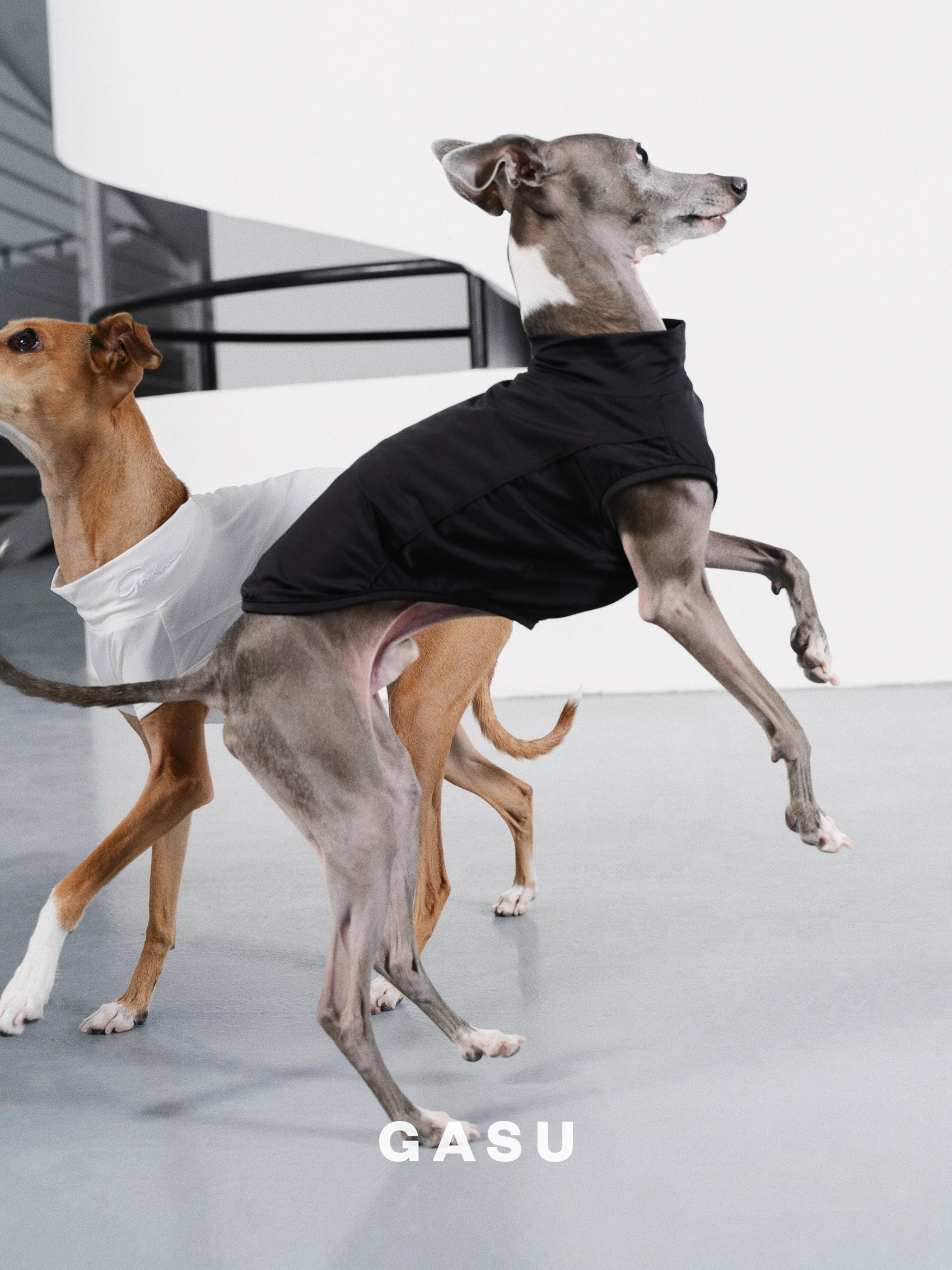 【全犬種対応】Nude UPF50+ Cooling Vest ホワイト