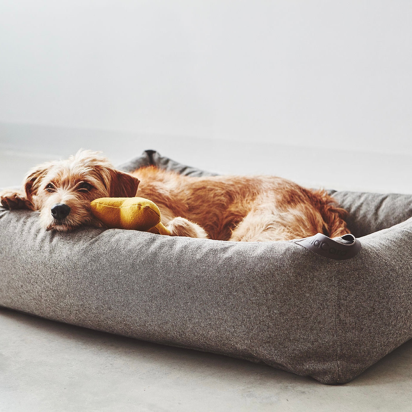 MiaCara ステラボックスドッグベッド モカ Mサイズ