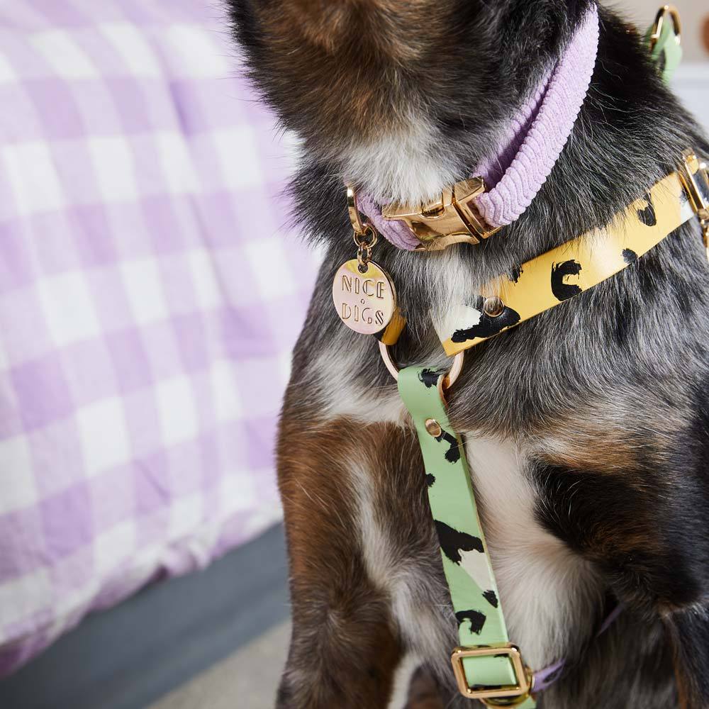 ANIMAL DOG HARNESS SORBET XSサイズ