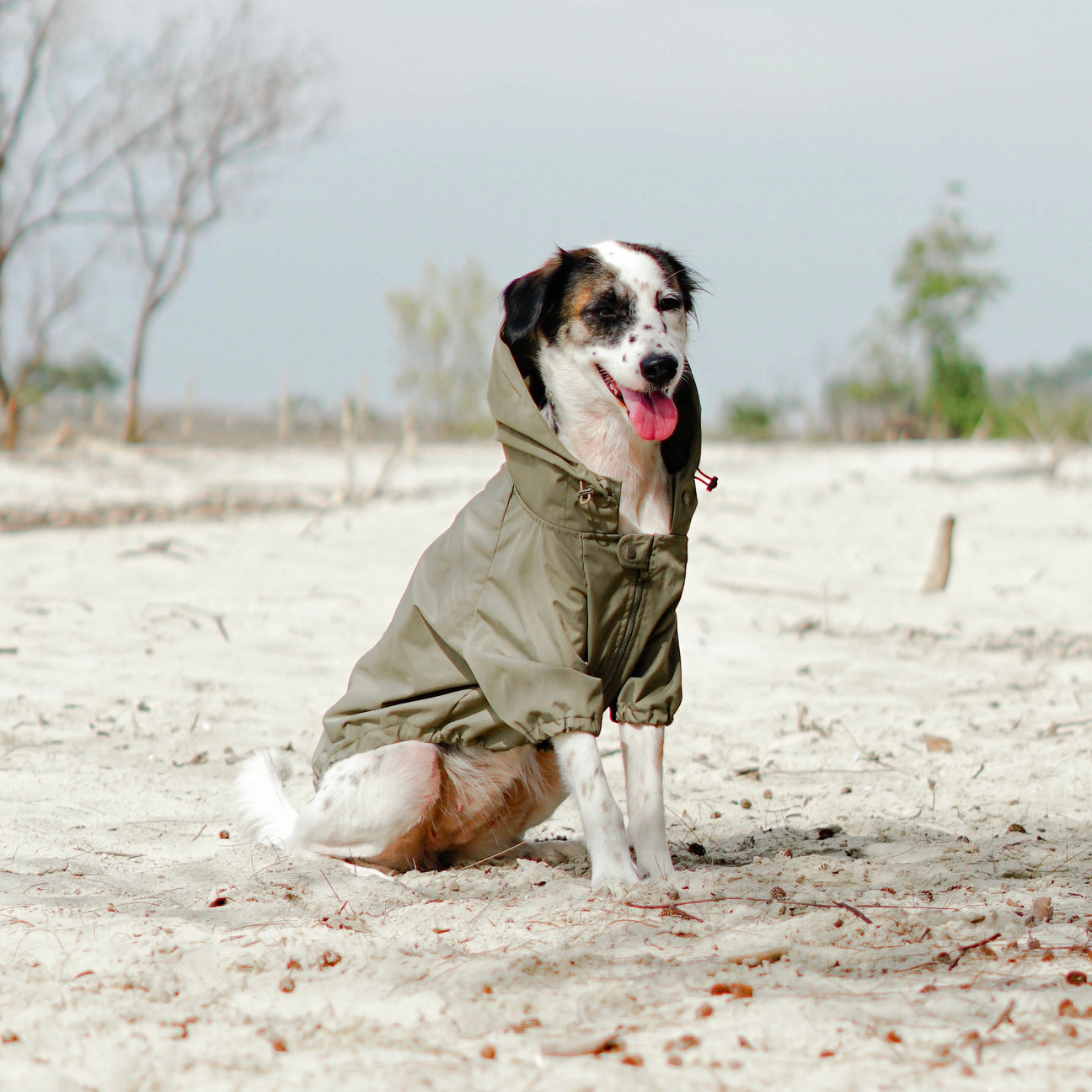 BROOKLYN Raincoat FERN